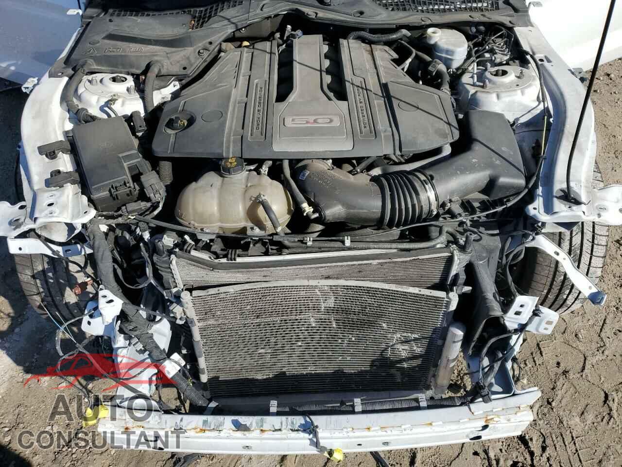 FORD MUSTANG 2020 - 1FA6P8CF1L5178162