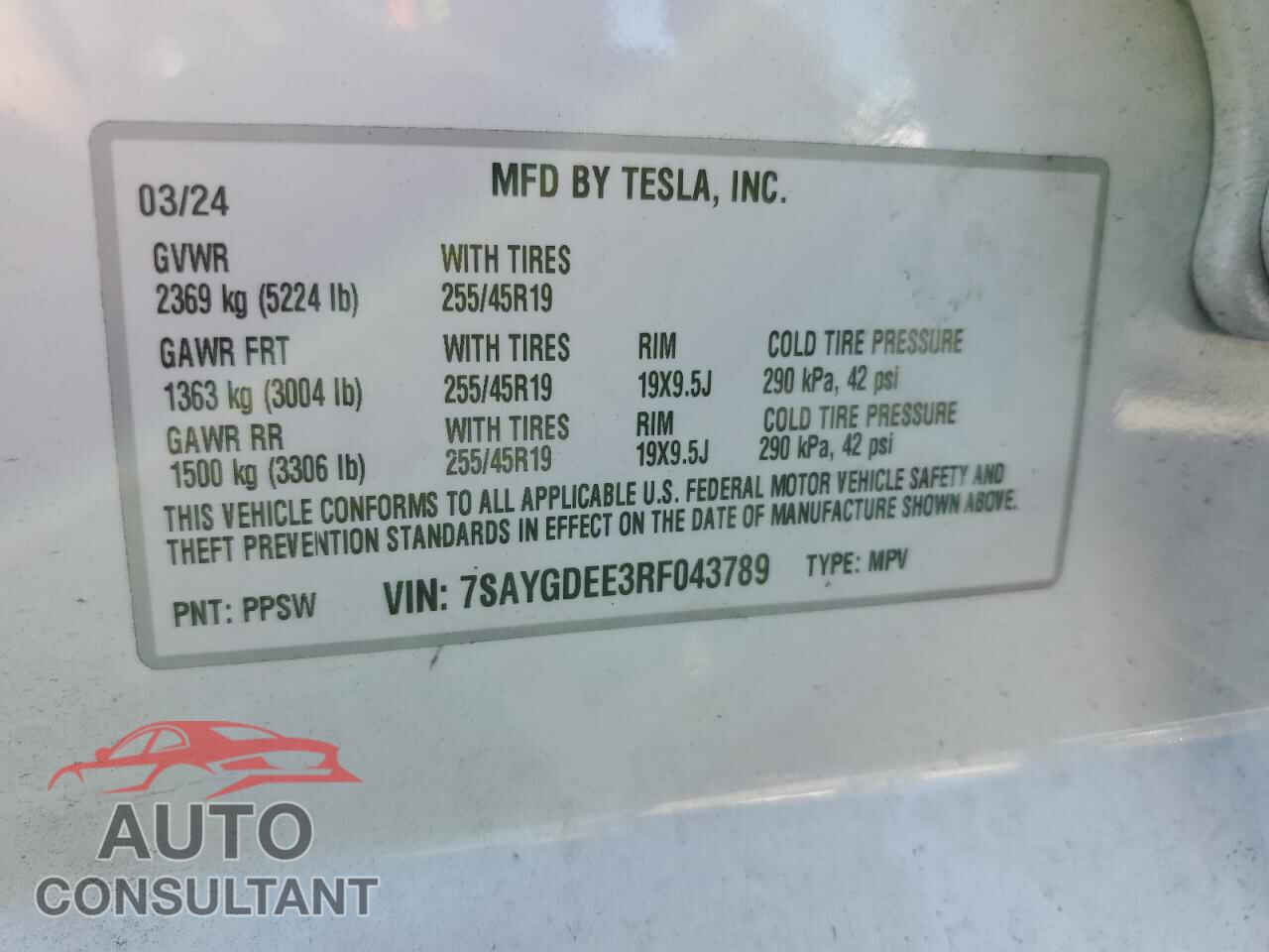 TESLA MODEL Y 2024 - 7SAYGDEE3RF043789