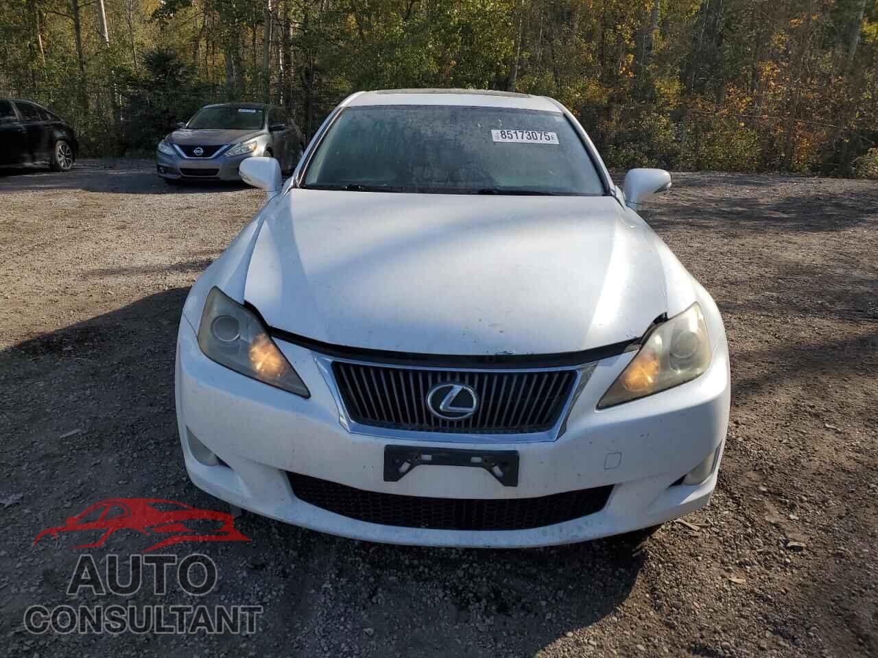 LEXUS IS 2010 - JTHCF5C29A5040778