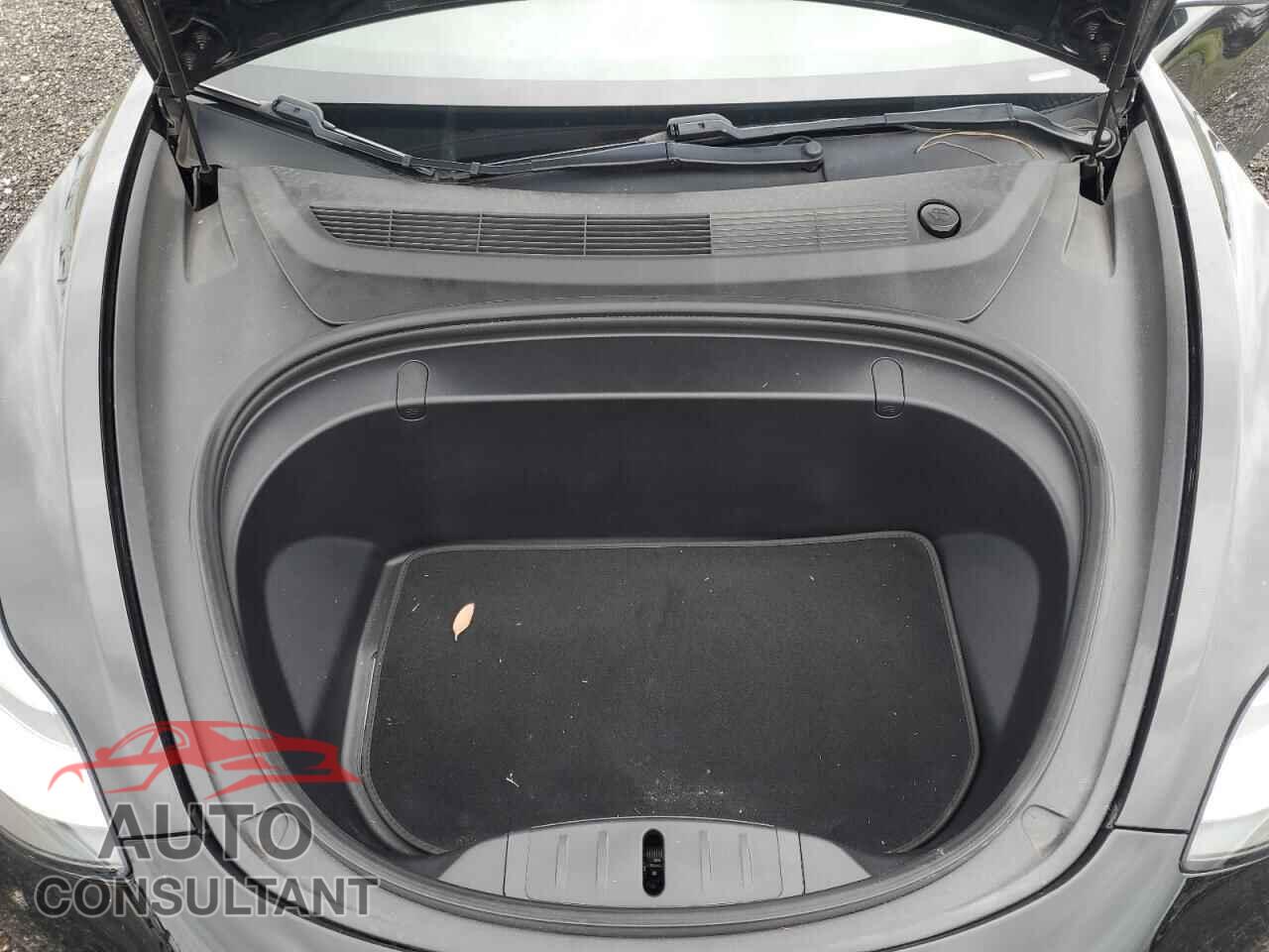 TESLA MODEL 3 2019 - 5YJ3E1EA4KF329374