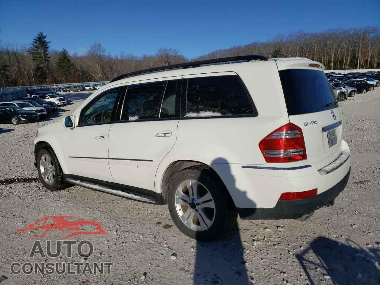 MERCEDES-BENZ GLS-CLASS 2009 - 4JGBF71E59A480243