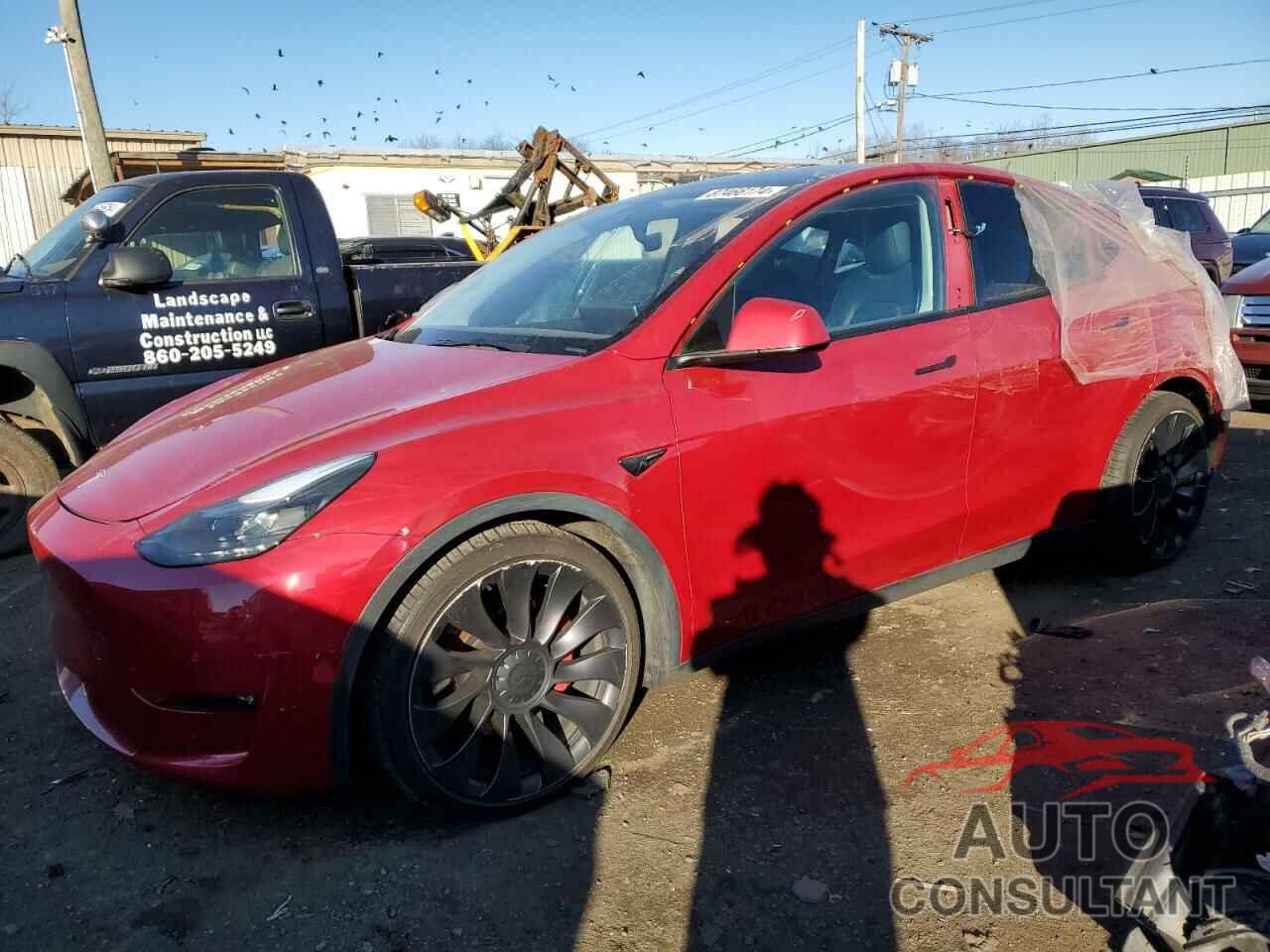 TESLA MODEL Y 2022 - 7SAYGDEF1NF375488
