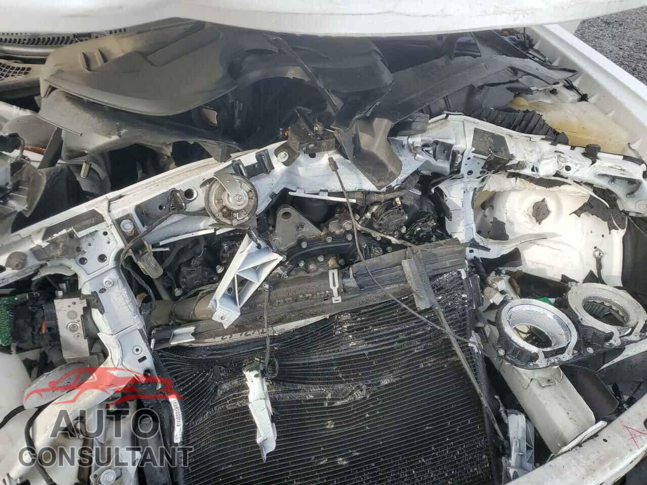DODGE CHALLENGER 2019 - 2C3CDZAG5KH525494