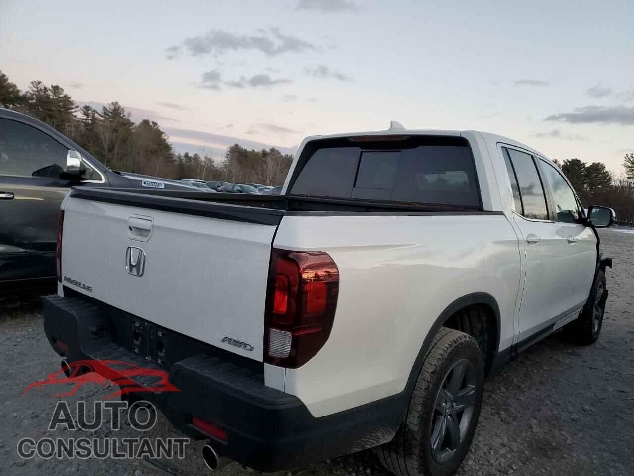 HONDA RIDGELINE 2023 - 5FPYK3F51PB061992