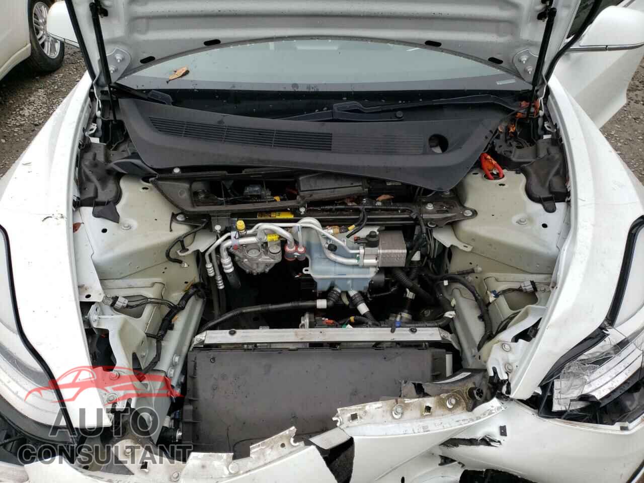 TESLA MODEL 3 2020 - 5YJ3E1EA4LF659629