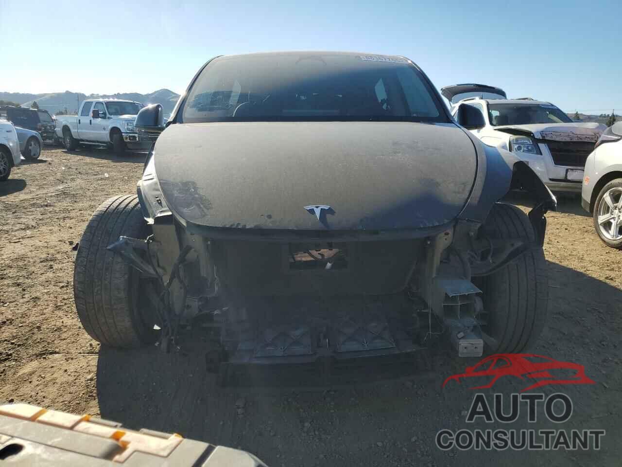 TESLA MODEL Y 2022 - 7SAYGDEF9NF547587