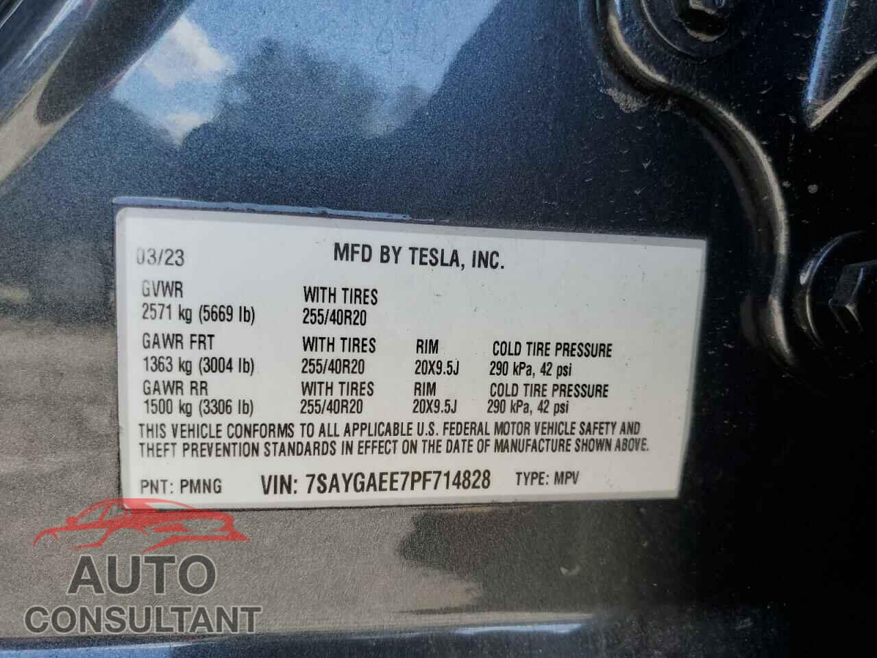 TESLA MODEL Y 2023 - 7SAYGAEE7PF714828