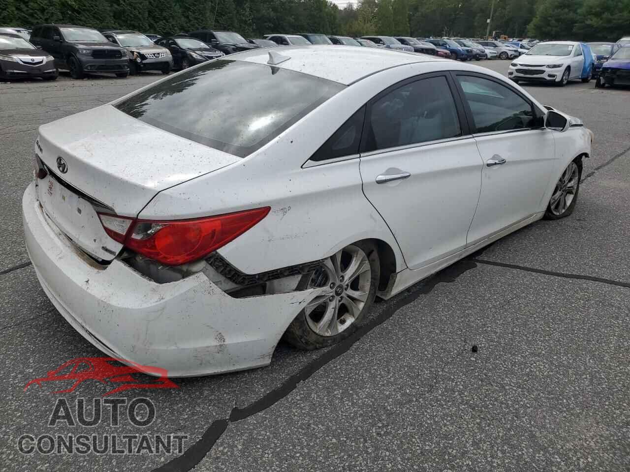 HYUNDAI SONATA 2011 - 5NPEC4AC7BH218567