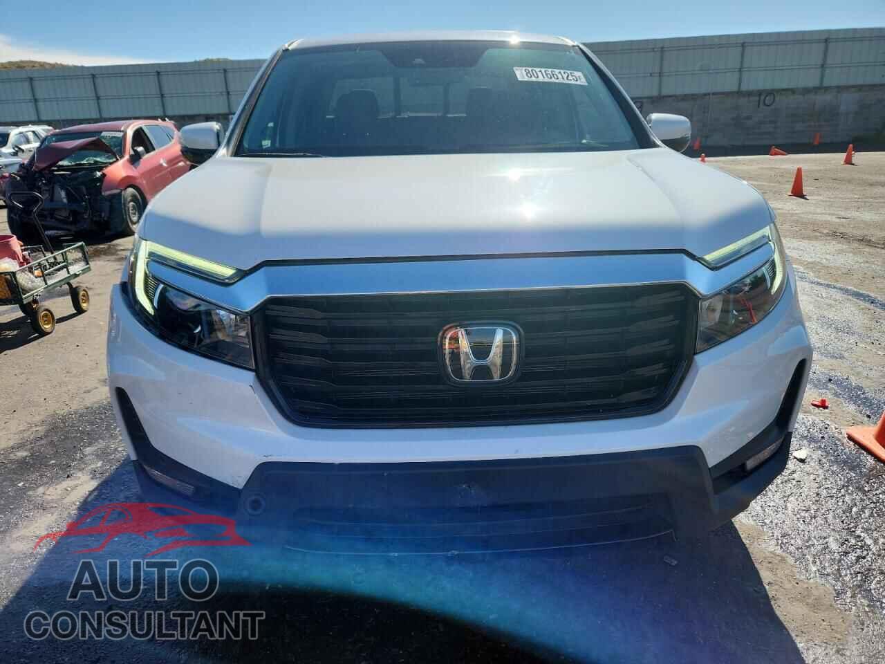 HONDA RIDGELINE 2023 - 5FPYK3F75PB002011