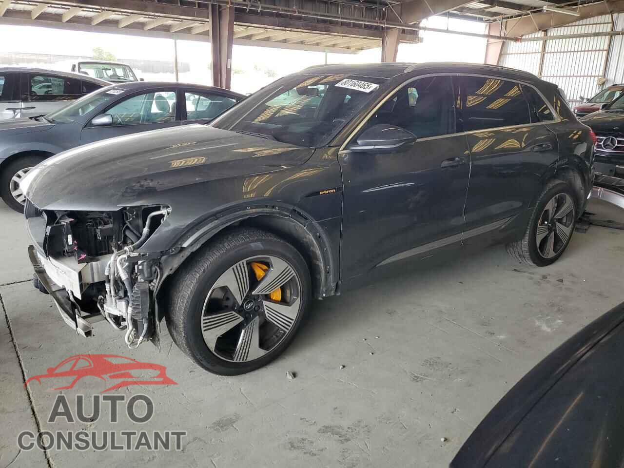 AUDI E-TRON 2019 - WA1VAAGE3KB006077