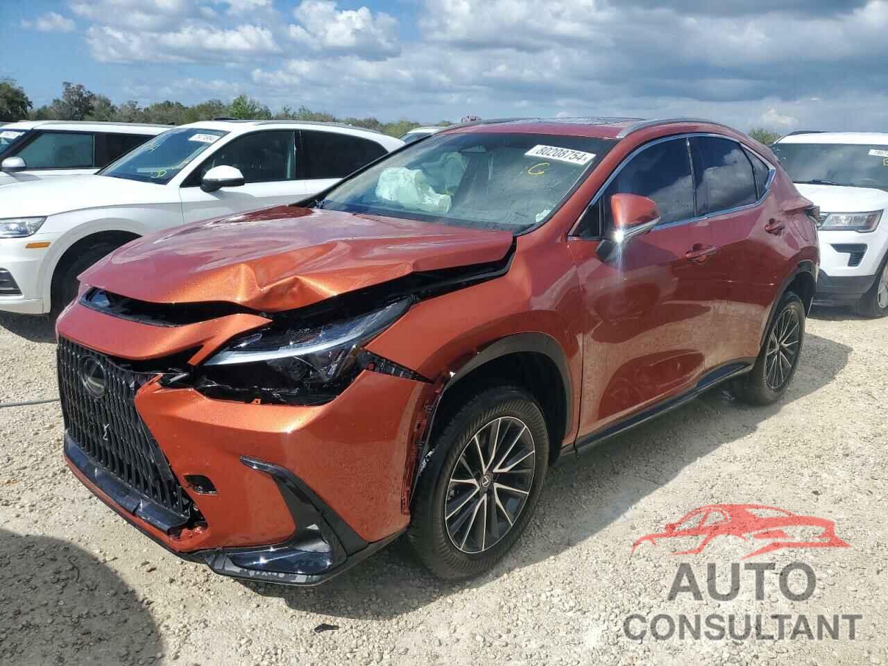 LEXUS NX 350 PRE 2024 - 2T2GGCEZ4RC038252