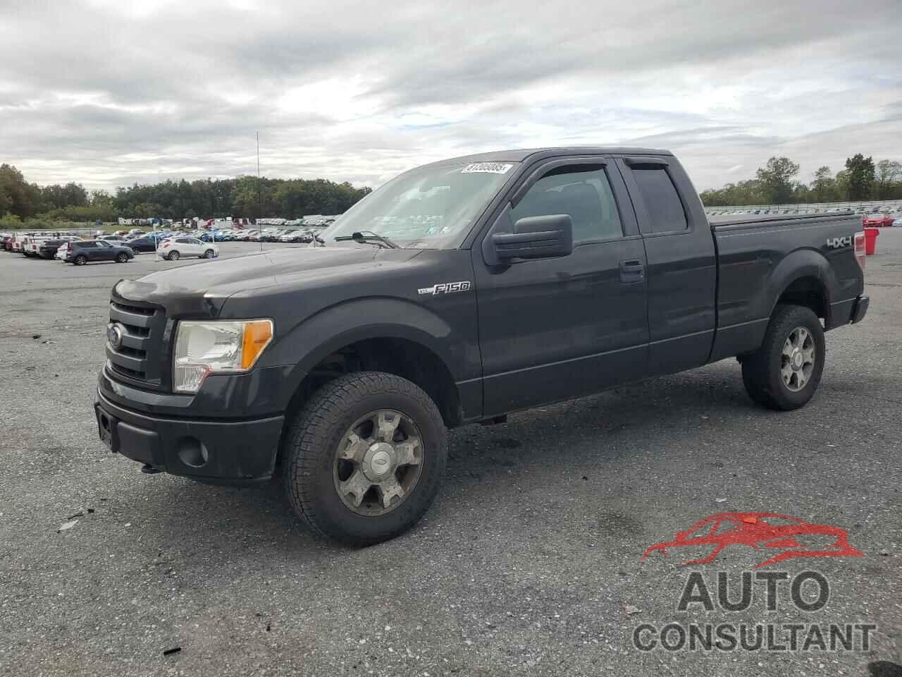FORD F-150 2010 - 1FTEX1EW1AFD70747