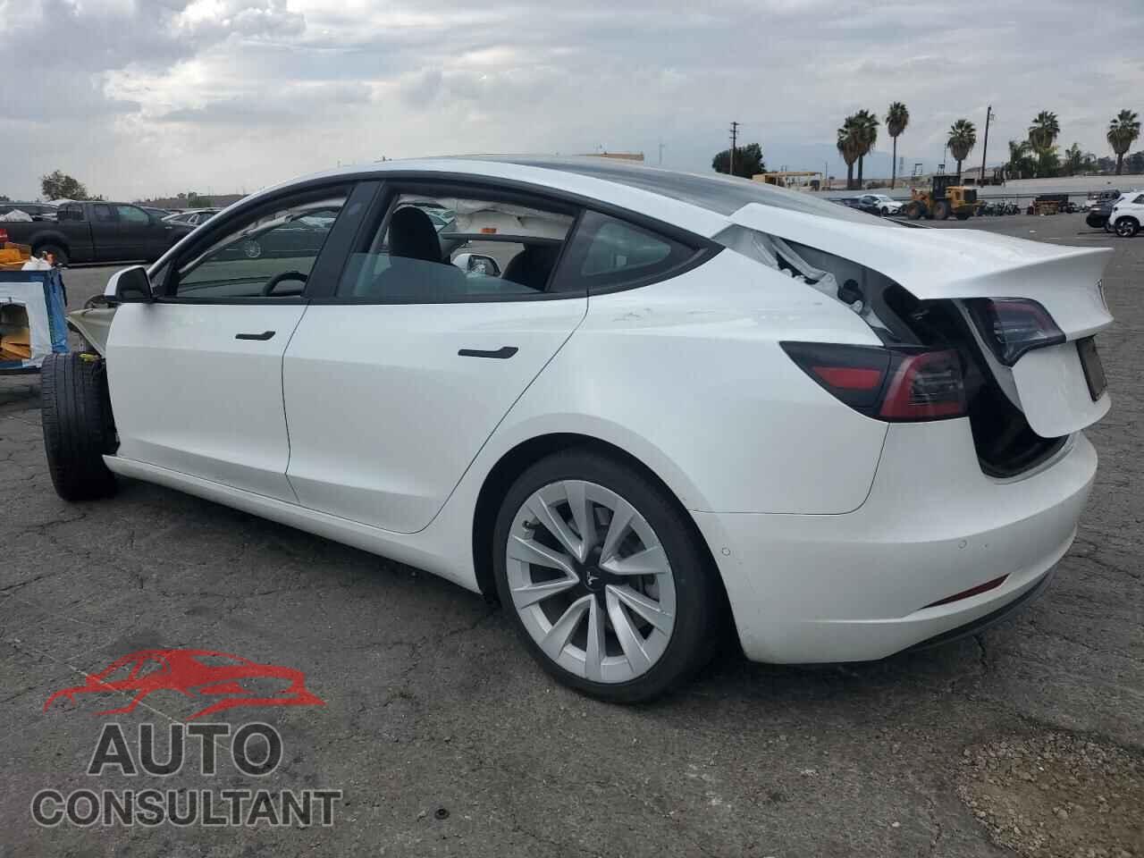 TESLA MODEL 3 2021 - 5YJ3E1EA1MF001364