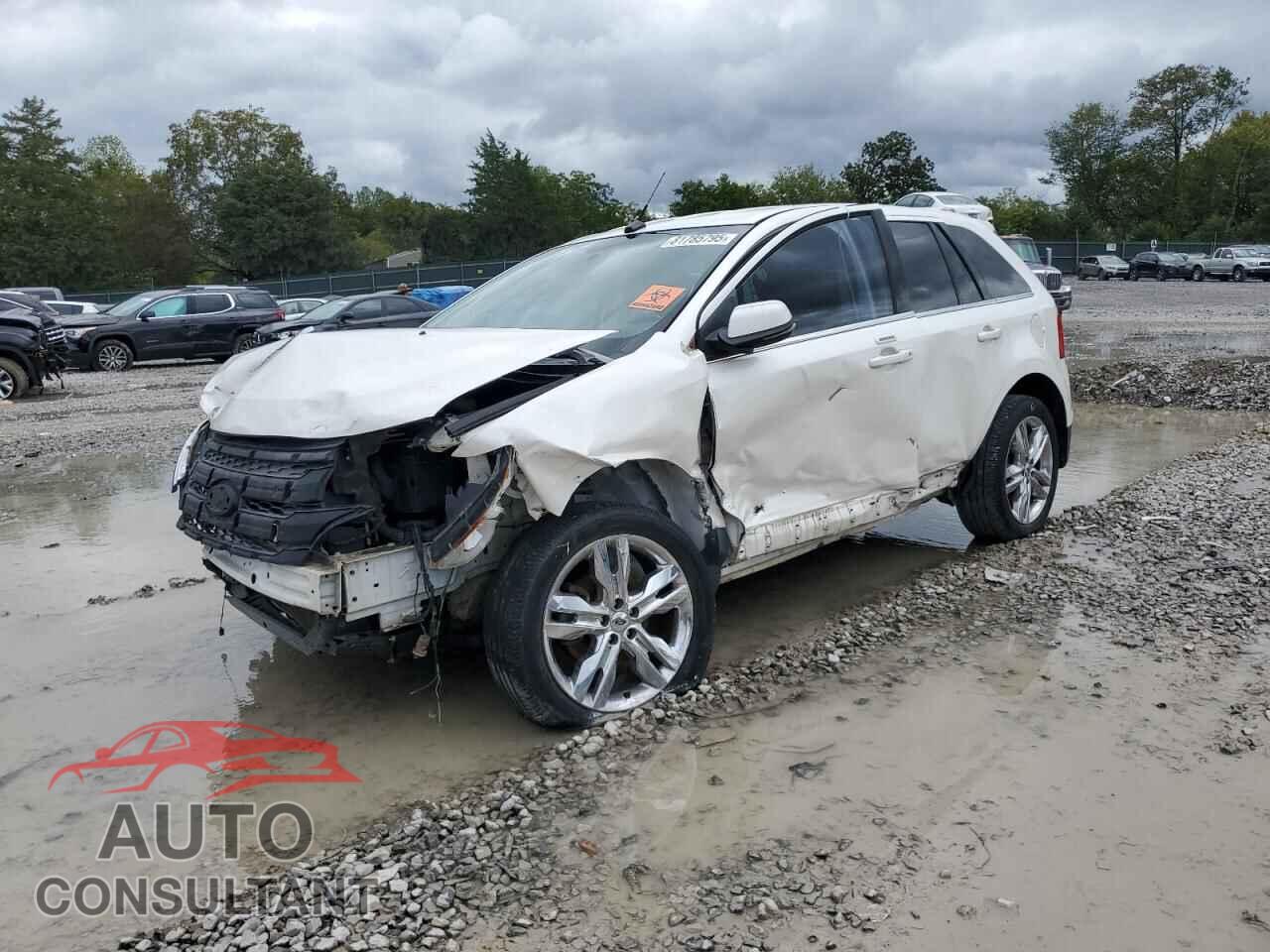 FORD EDGE 2013 - 2FMDK3KC8DBB93891