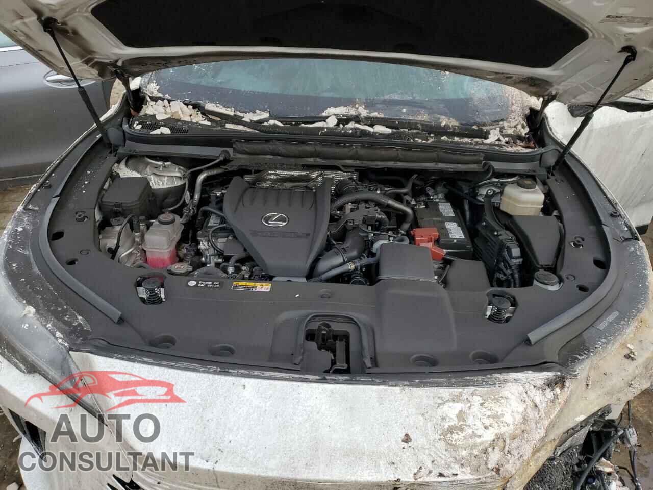 LEXUS RX350 2023 - 2T2BAMCAXPC032872