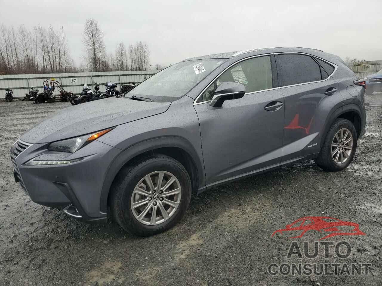 LEXUS NX 2021 - JTJDJRDZ4M2160532