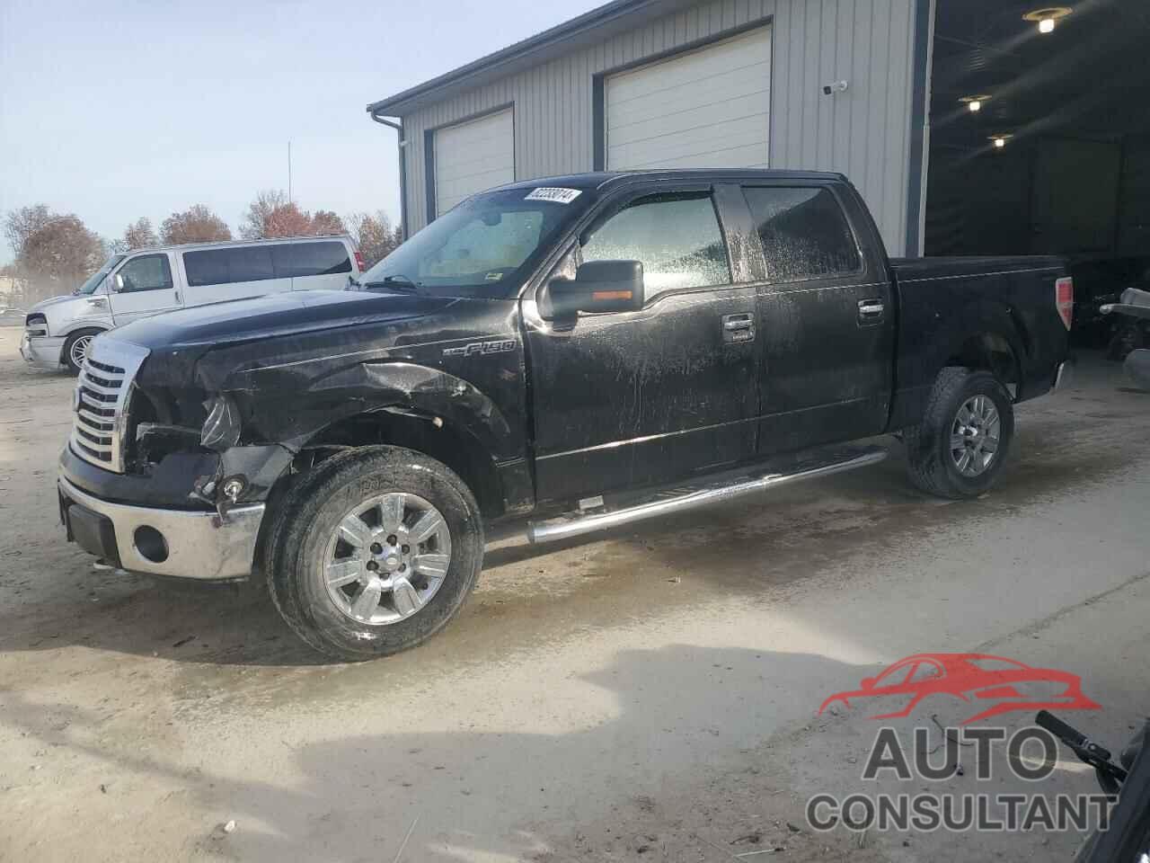 FORD F-150 2011 - 1FTFW1EF8BKD11064