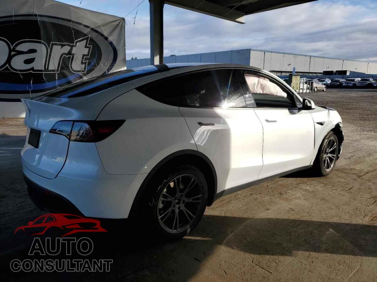 TESLA MODEL Y 2024 - 7SAYGDED3RF111452