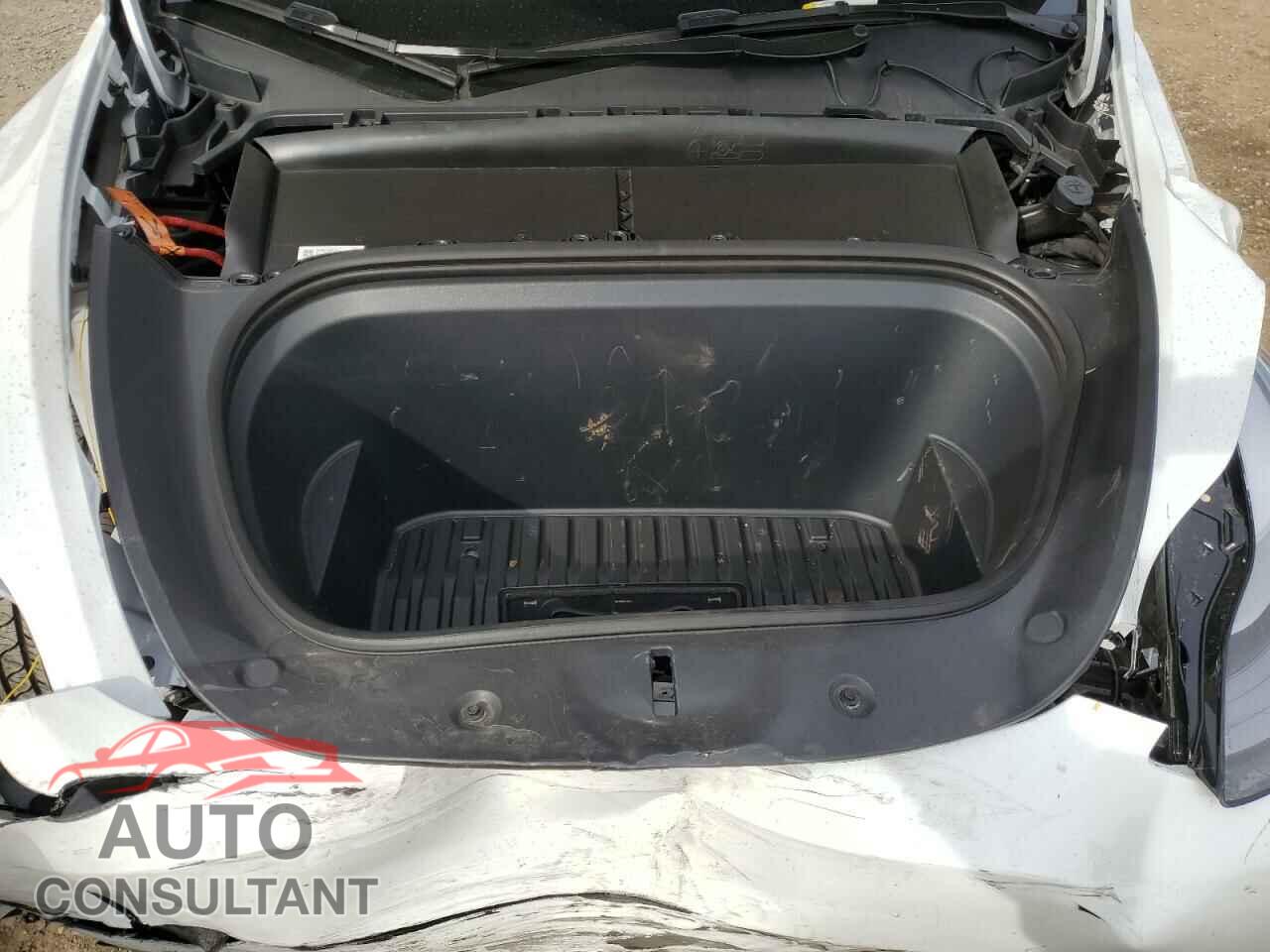 TESLA MODEL Y 2024 - 7SAYGDEEXRF104913