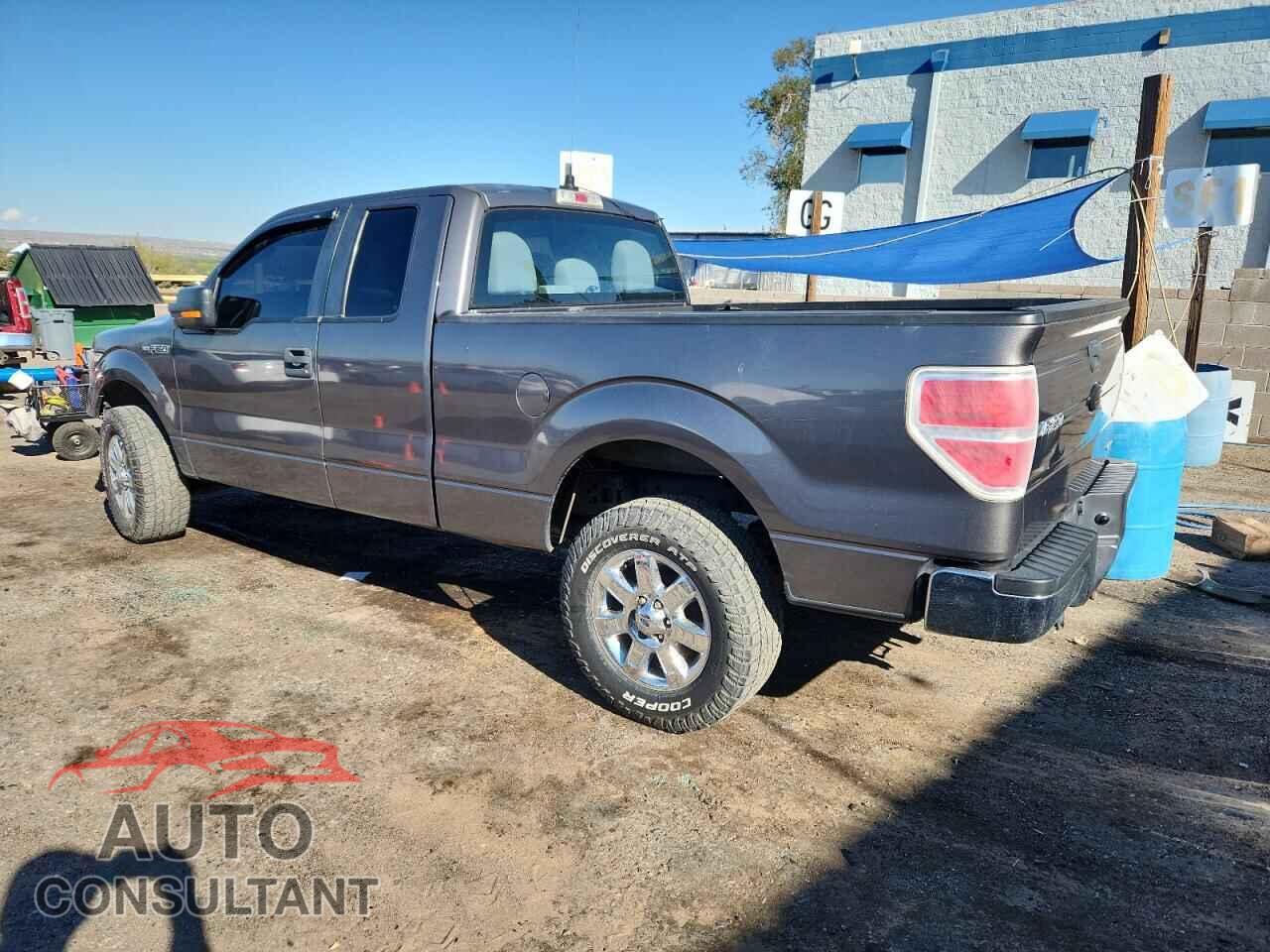 FORD F-150 2011 - 1FTFX1EF1BFA46316