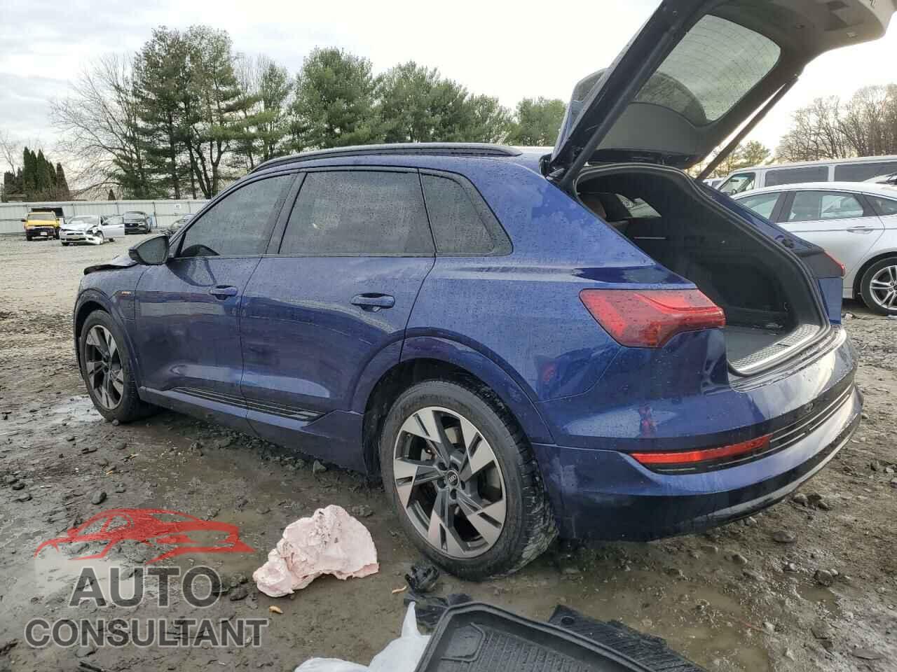 AUDI E-TRON 2022 - WA1AAAGE7NB005033