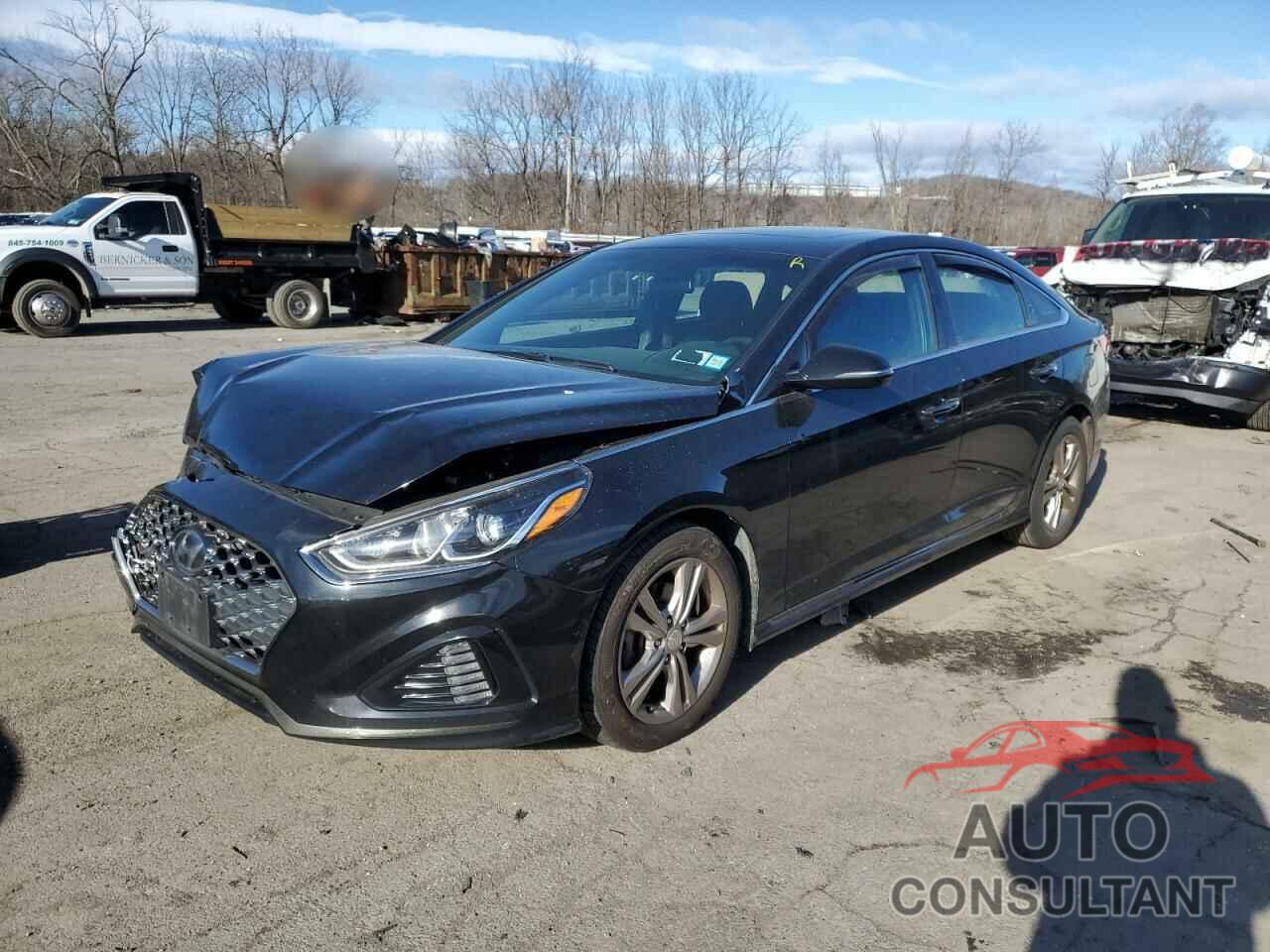 HYUNDAI SONATA 2019 - 5NPE34AF6KH799828