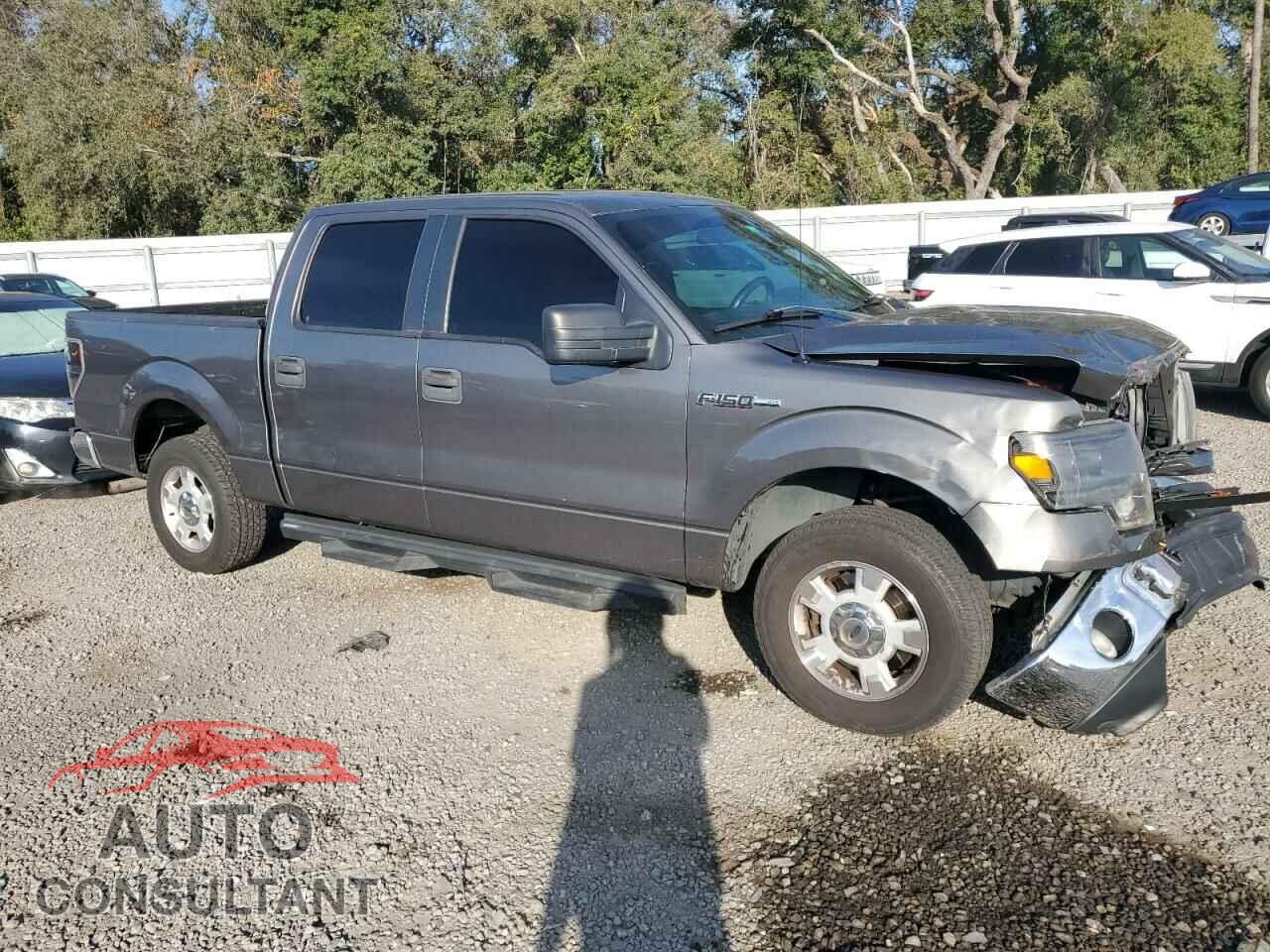 FORD F-150 2013 - 1FTEW1CM9DFD49654