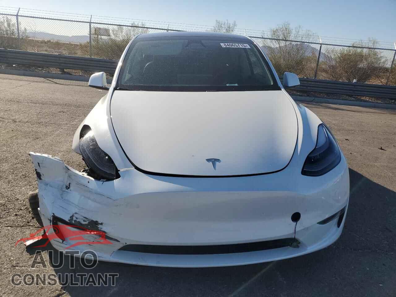 TESLA MODEL Y 2024 - 7SAYGDED7RF168768
