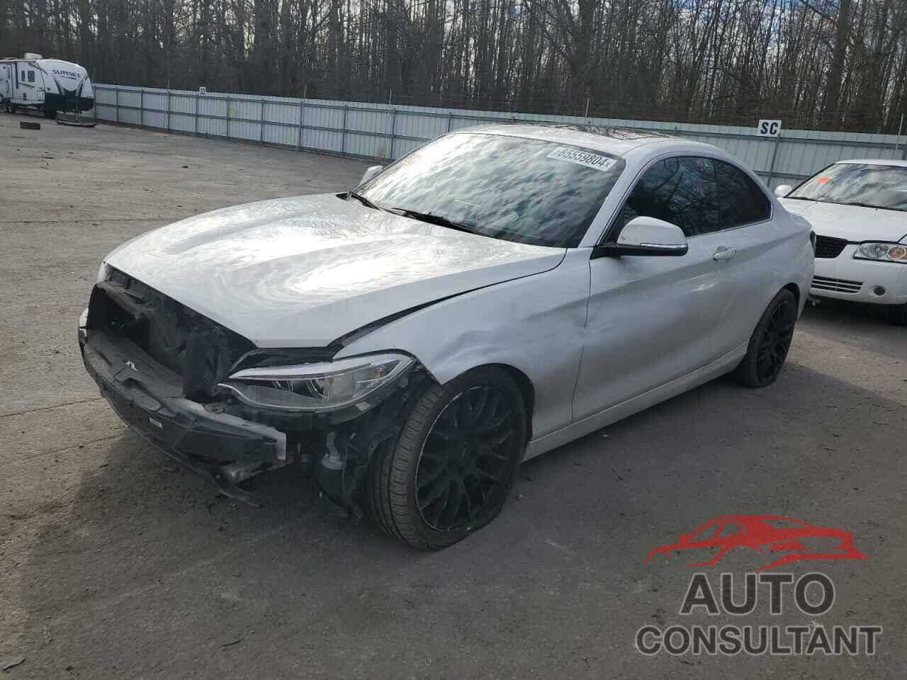 BMW 2 SERIES 2016 - WBA1G9C57GVX97224