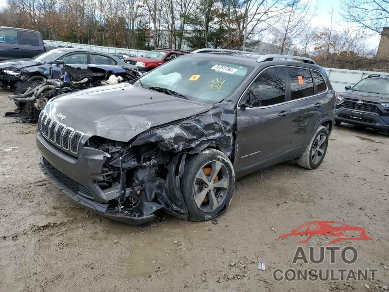 JEEP GRAND CHER 2019 - 1C4PJLDB1KD165205