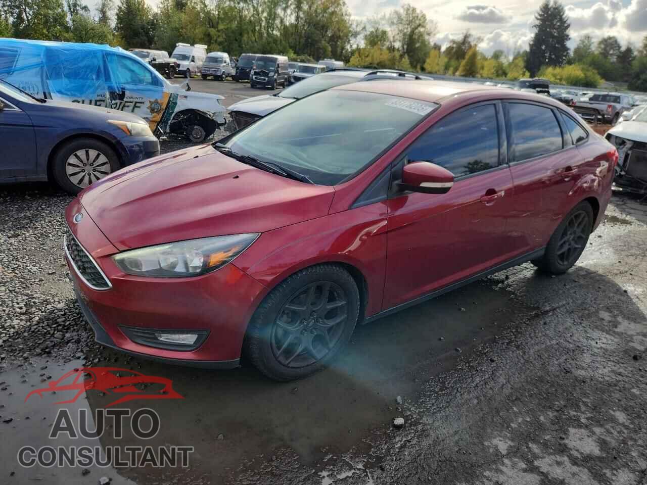 FORD FOCUS 2016 - 1FADP3F20GL219434