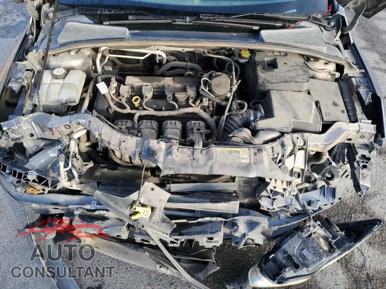 FORD FOCUS 2012 - 1FAHP3H20CL324810