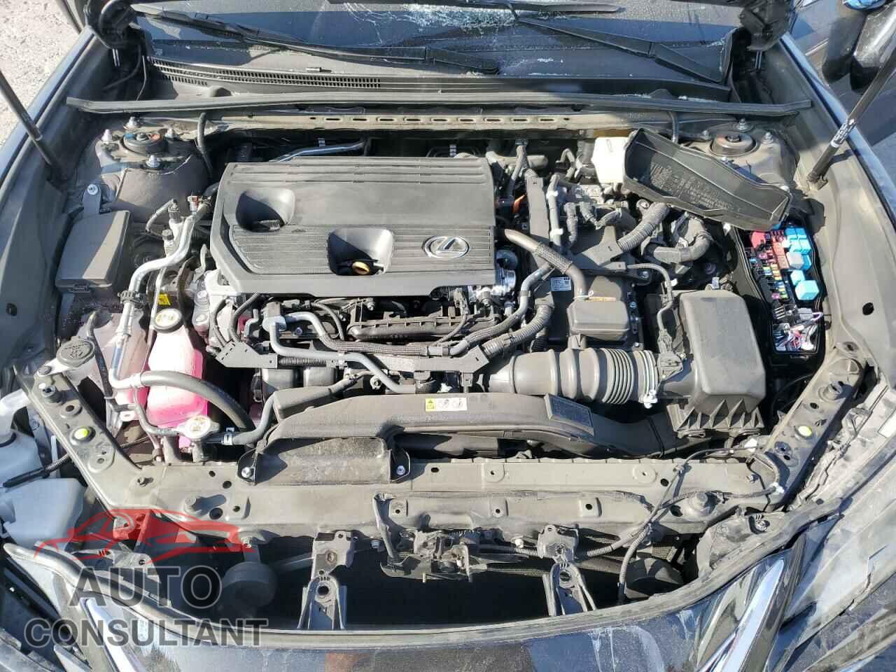 LEXUS ES300 2024 - 58ADA1C19RU053816
