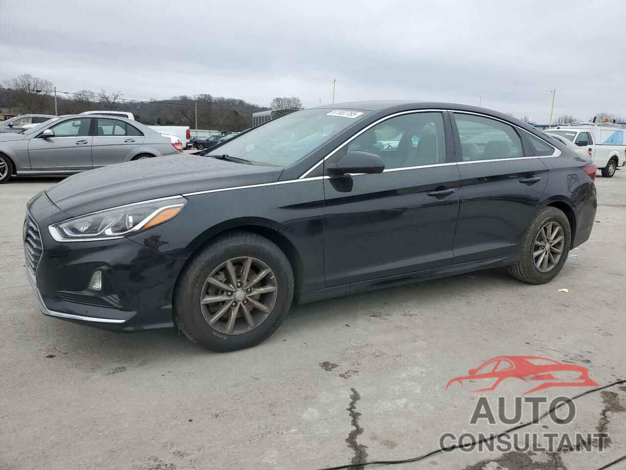 HYUNDAI SONATA 2019 - 5NPE24AF8KH763805