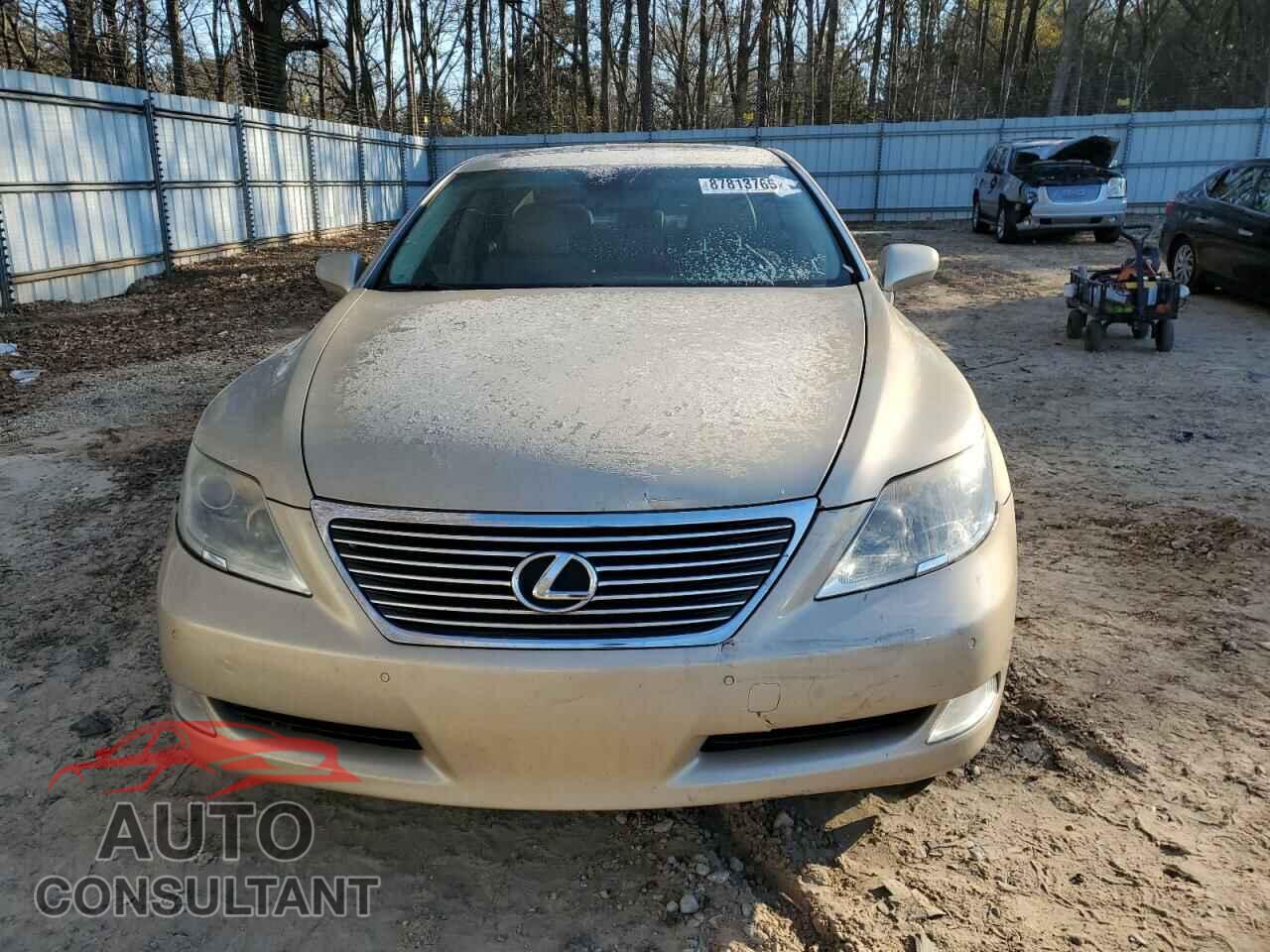 LEXUS LS460 2009 - JTHBL46F695089980