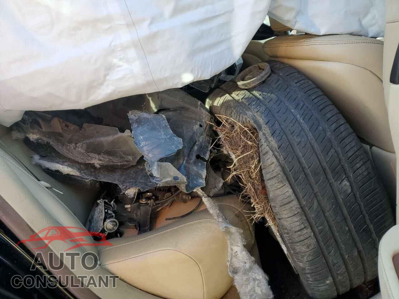 LEXUS LS460 2014 - JTHBL5EF3E5125397