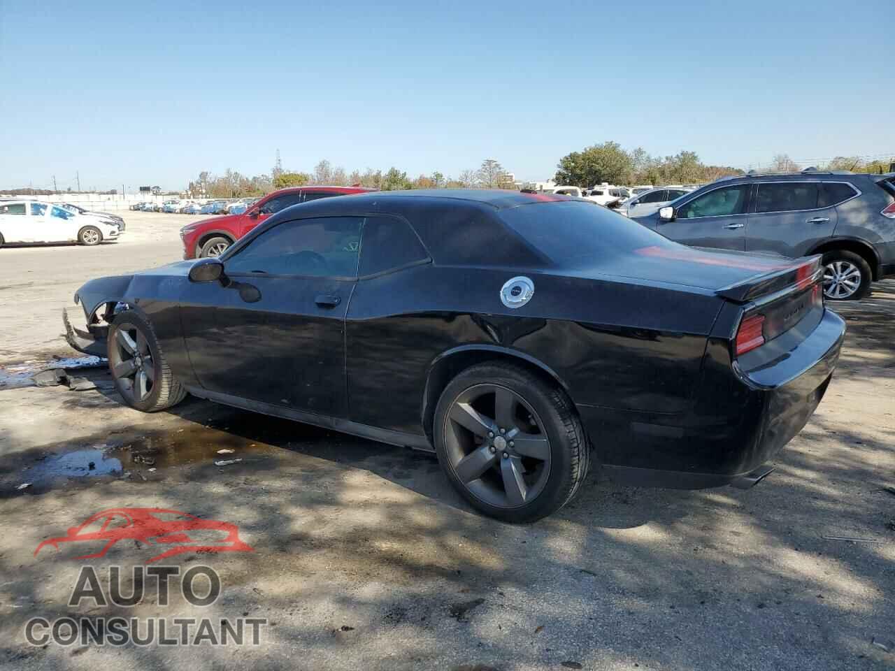 DODGE CHALLENGER 2013 - 2C3CDYAG5DH540672