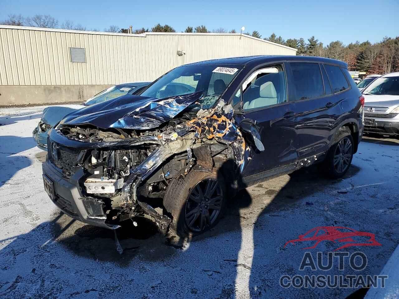 HONDA PASSPORT 2019 - 5FNYF8H51KB026966