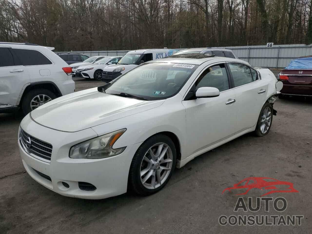 NISSAN MAXIMA 2009 - 1N4AA51E19C854554