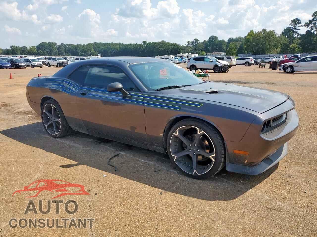 DODGE CHALLENGER 2013 - 2C3CDYAG7DH674549