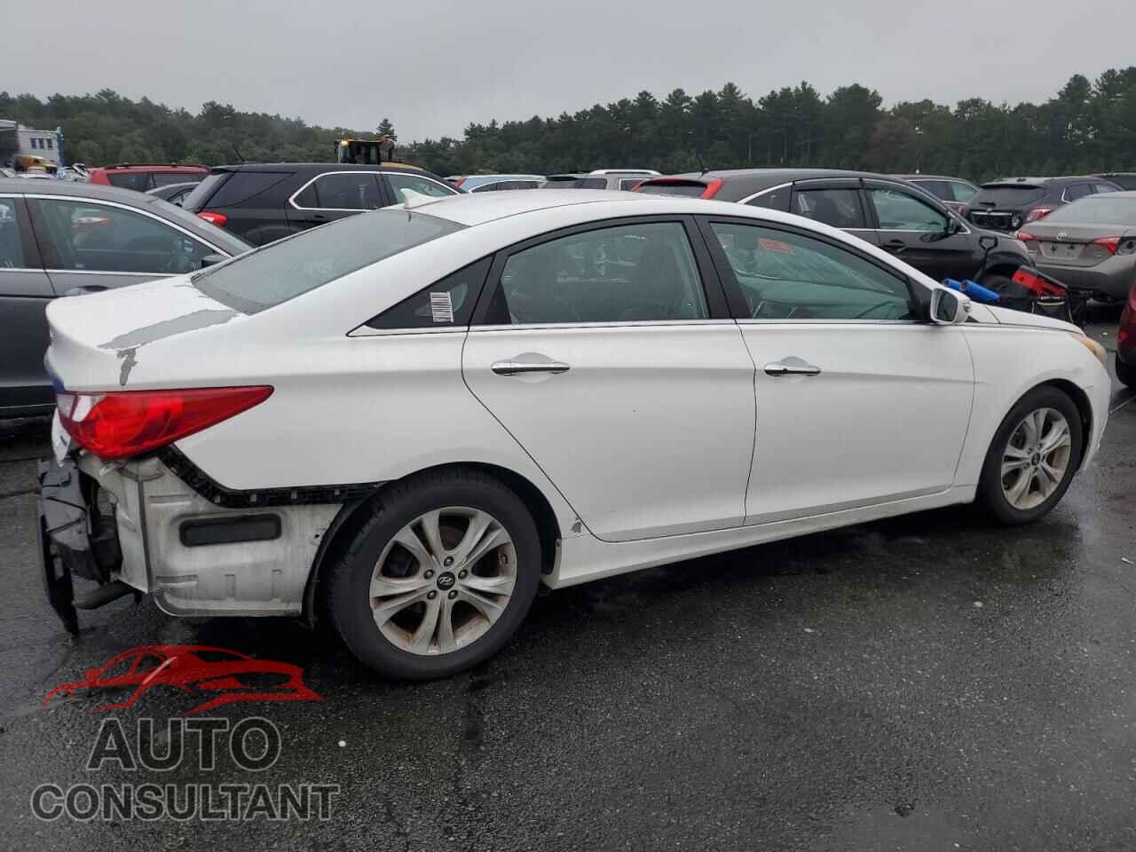 HYUNDAI SONATA 2011 - 5NPEC4ACXBH043408