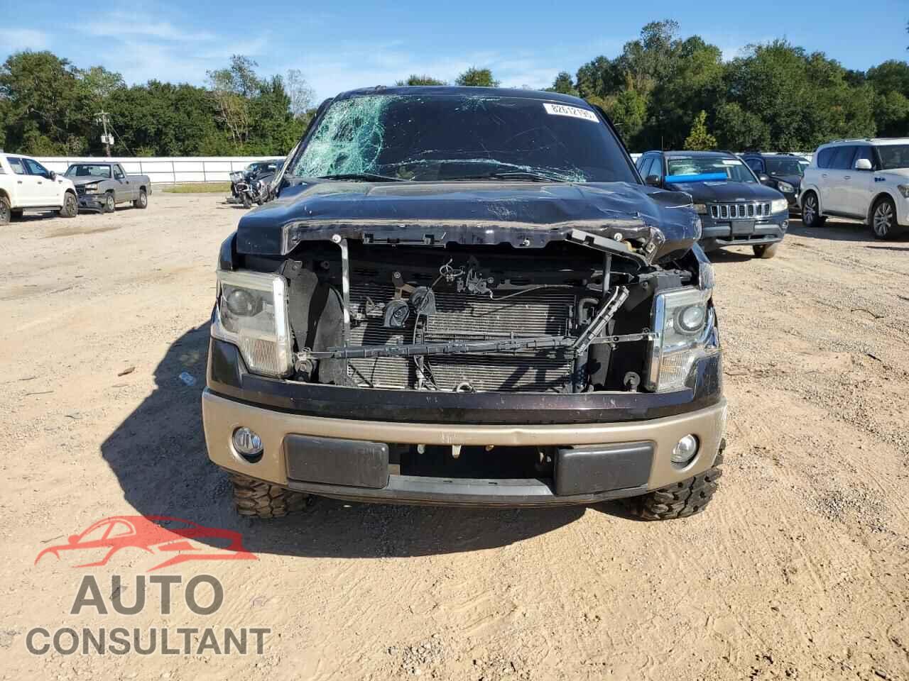 FORD F-150 2013 - 1FTFX1CF9DFD76467