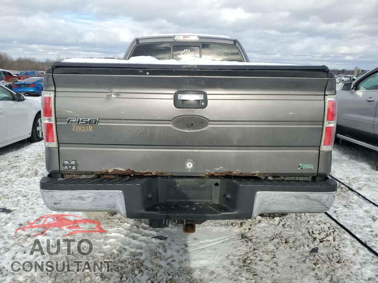 FORD F-150 2010 - 1FTFX1EV7AFC83964