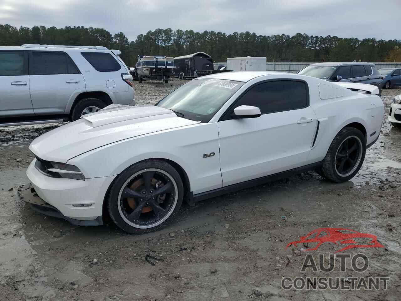FORD MUSTANG 2012 - 1ZVBP8CF5C5223173