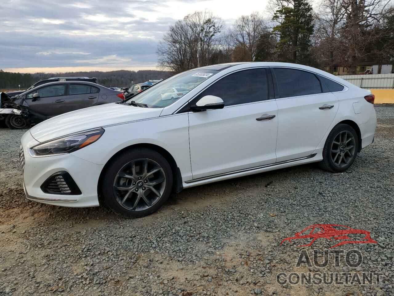 HYUNDAI SONATA 2019 - 5NPE34AB5KH795606