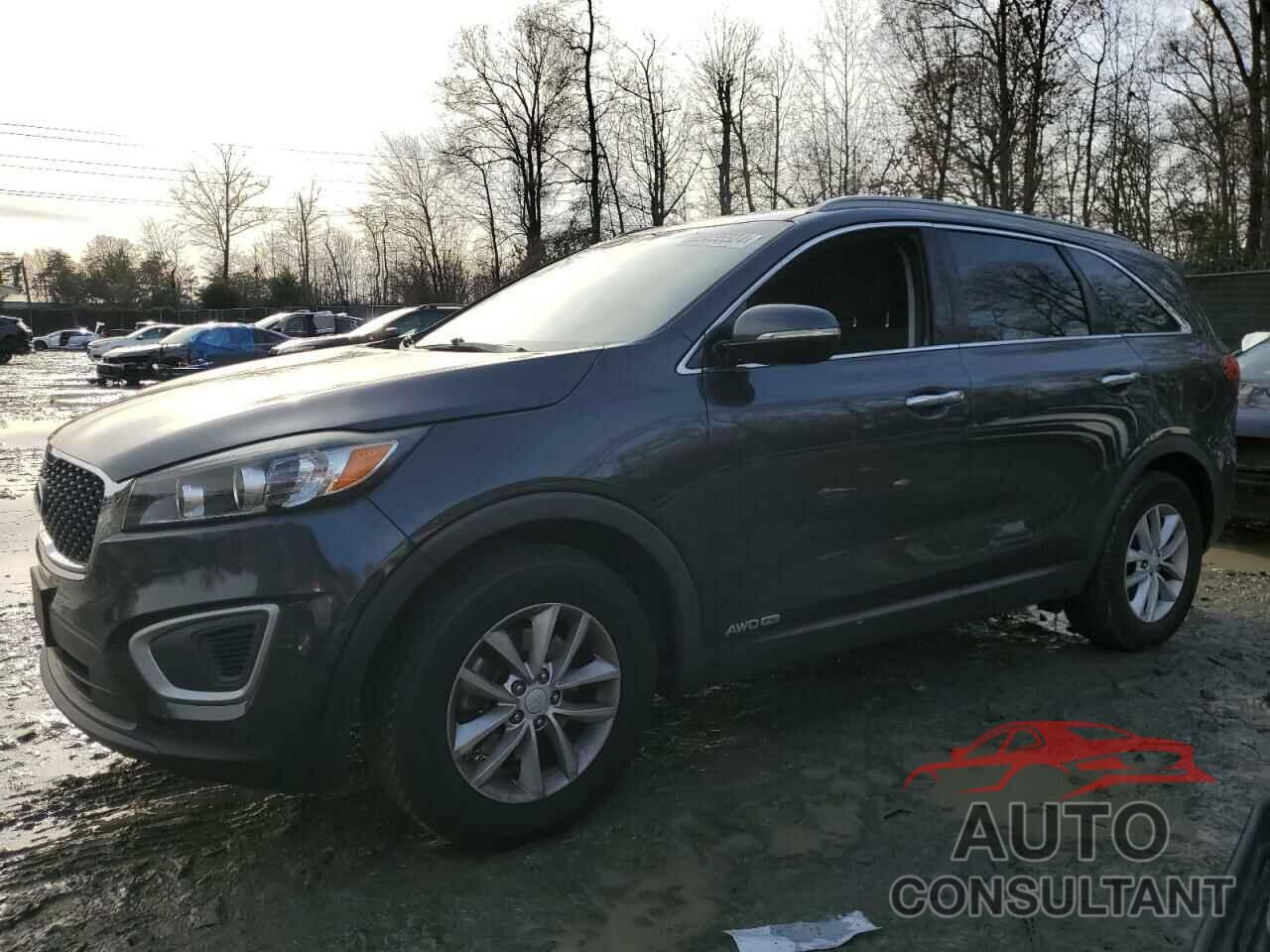 KIA SORENTO 2017 - 5XYPGDA50HG229716