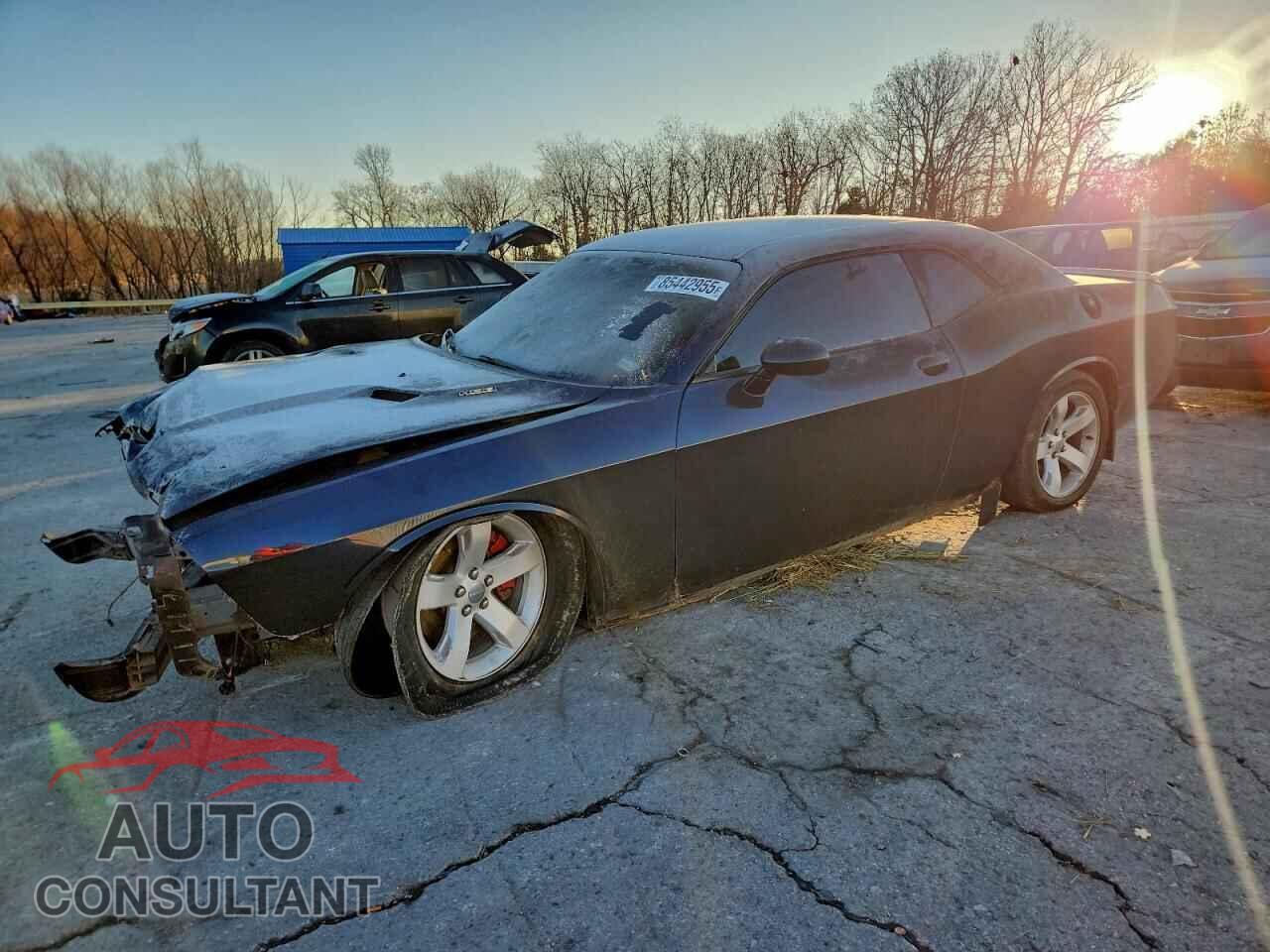 DODGE CHALLENGER 2012 - 2C3CDYBT8CH233880