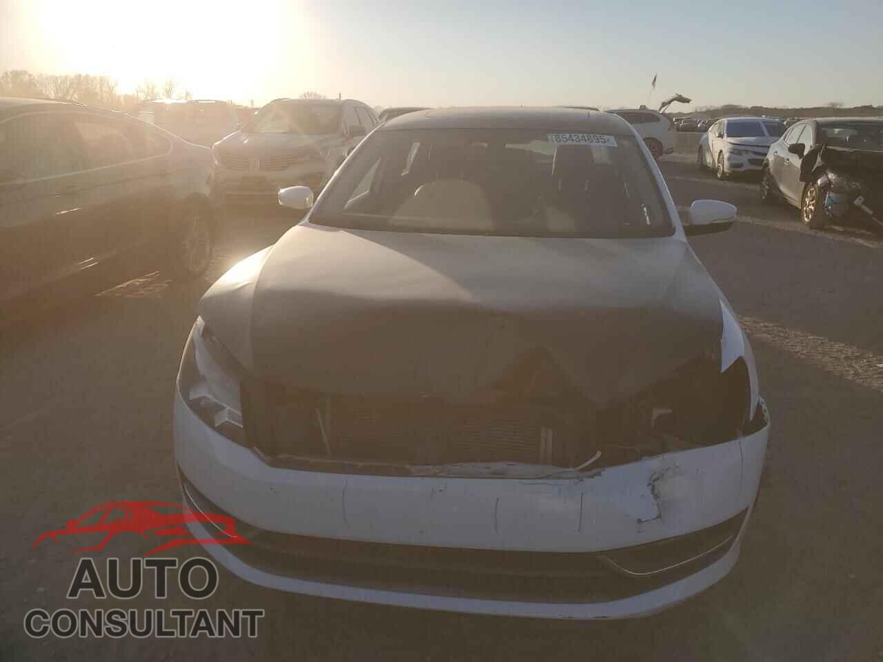 VOLKSWAGEN PASSAT 2013 - 1VWBN7A31DC142791
