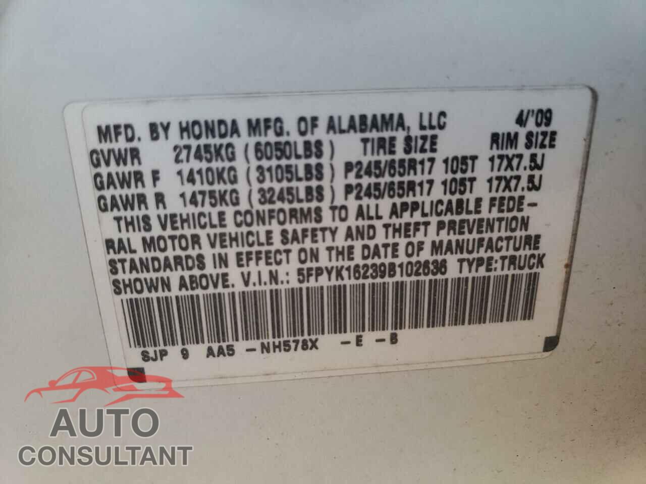 HONDA RIDGELINE 2009 - 5FPYK16239B102636