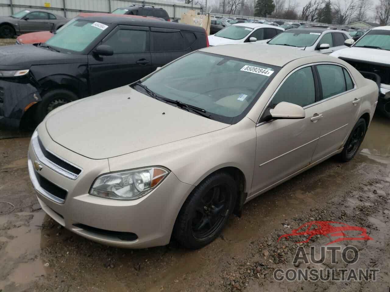 CHEVROLET MALIBU 2011 - 1G1ZB5EUXBF137336